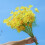 Bouquet di margherite artificiali, 10 pezzi 6
