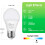 Λαμπτήρας A21 Daylight 5000K2300LM19W E26 Συσκευασία των 6 2