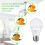 Λαμπτήρας A21 Daylight 5000K2300LM19W E26 Συσκευασία των 6 4