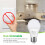 Λαμπτήρας A21 Daylight 5000K2300LM19W E26 Συσκευασία των 6 5
