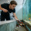 Πτυσσόμενο εργαλείο λαβής με μαγνητική κεφαλή 31,5 ιντσών 8