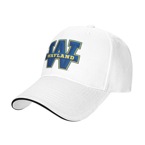 Wayland Baptist University baseballpet unisex1 1