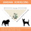 Hundebryllupsbandana til små mellemstore hunde 2