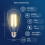Żarówki Edisona ST19 4000K1000LM E26 8W6Pack 2