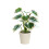 Artificial Potted Plants Realistic Indoor Greenery1Pack 2