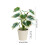 Artificial Potted Plants Realistic Indoor Greenery1Pack 3