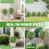 Umělý topiary strom s bílou kamélií 2 ks 7