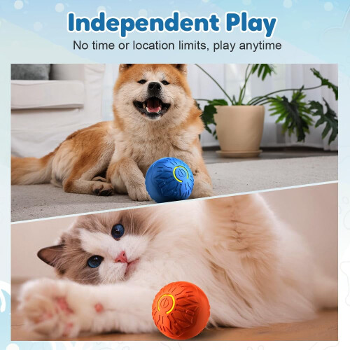 Ensemble de 2 balles interactives rechargeables pour chien 1