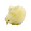 Peluche a forma di pollo, giocattolo di Pasqua per bambini 4