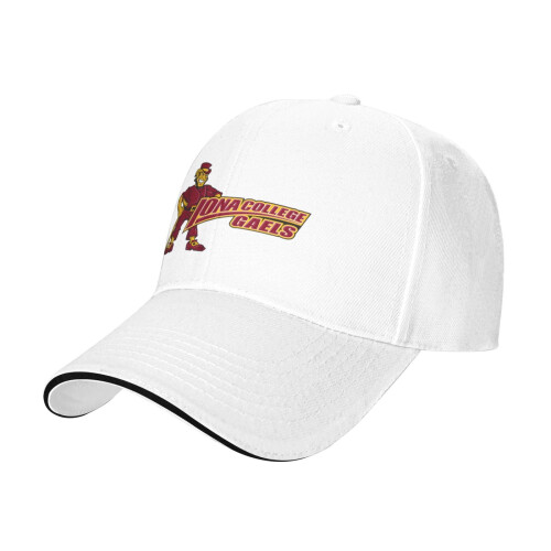 Iona College unisex baseballpet dad hat 1