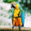 Bird Harness Leash for Small Parrots and Cockatiels 7