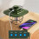 Lanterne de camping LED rechargeable verte à intensité variable 7