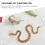 Serpents en résine brun clair (2 pièces) 6