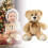 Ours en peluche doux de 35 cm 2