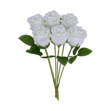 Rosas artificiais champanhe de seda branca (6 unidades)