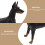 Statue miniature réaliste de Doberman Pinscher OUNONA 6