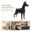 Statue miniature réaliste de Doberman Pinscher OUNONA 8