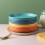Haomacro plastic plates 6 inch 8 pack assorted colors 1