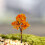 Miniature Model Trees for Diorama Kit – 2.16 to 2.75 7
