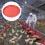 Plastic Chicken-Shaped Food Containers Red 2 Pcs 5