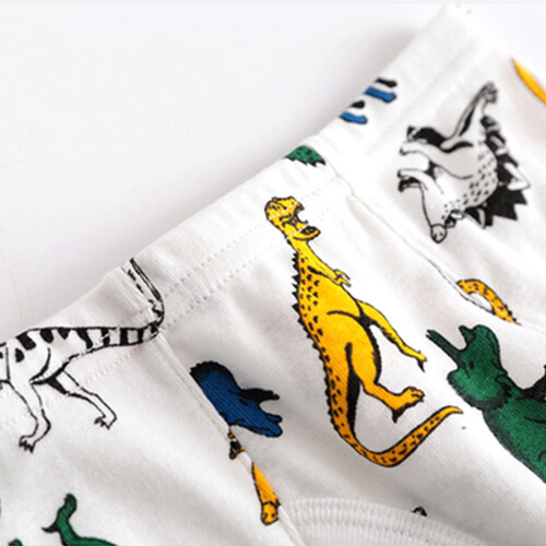 Boys' cozy briefs dinosaur car print 3-pack 2