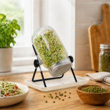 All-in-One Seed Sprouting Kit, Glass Jar with Stainless Mesh Lids