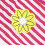 Sett med blomstertrykk og rysjer for småjenter 5