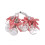 LED bow wishing bottle string lights 10-LED 5FT 2