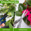 Bonsai-Werkzeugset, Gartenschere, Rechen, Trimmer, 8-teilig 3