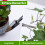 Bonsai-Werkzeugset, Gartenschere, Rechen, Trimmer, 8-teilig 4