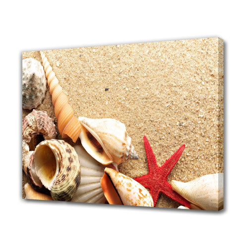 Ocean Beach Shells Canvas Poster 16x24 inch