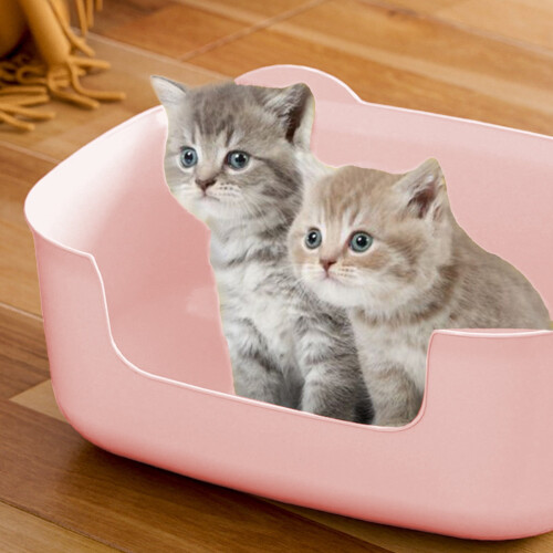Cat Litter Box with High Sides and Low Entry 1 Pack 1