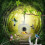 Bird Feeder with HD 1080P Camera Night Vision WiFi 7