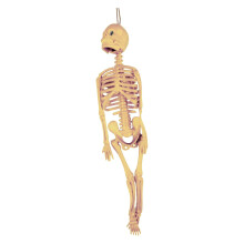 Halloween-luurankolelu, koulutuskoriste, beige