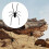 3D Realistic Spider Fridge Magnet Black 2