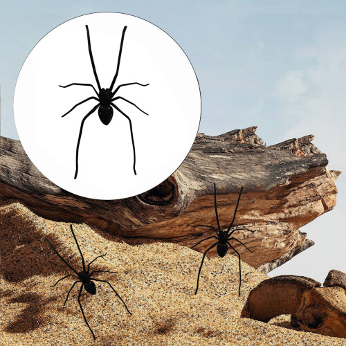 3D Realistic Spider Fridge Magnet Black 1