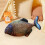 Simulation Fish Plush Pillow Home Decor 32 inch 3