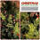 Green Glitter Christmas Branches DIY Decor 20 pcs 13.38 4