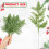 Green Glitter Christmas Branches DIY Decor 20 pcs 13.38 6