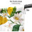 Lemon Window Curtains Set with Valance 26 in 3 pcs 5