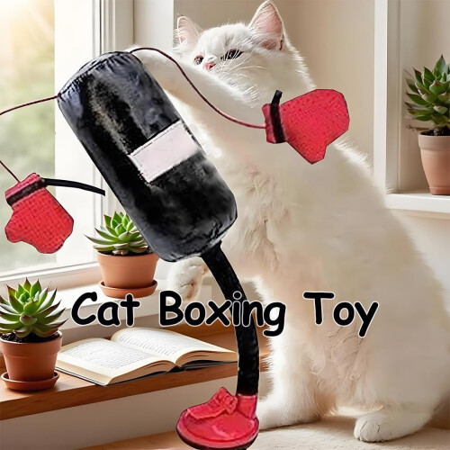 Cat Boxing Toy with Suction Cup for Kitten Play 1