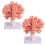 Flowering Paper Tree Kit 2 pcs 10ml DIY Christmas Cherry 1