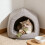 Fiskbensleksak för katt Tuggpinnar 1-pack 5