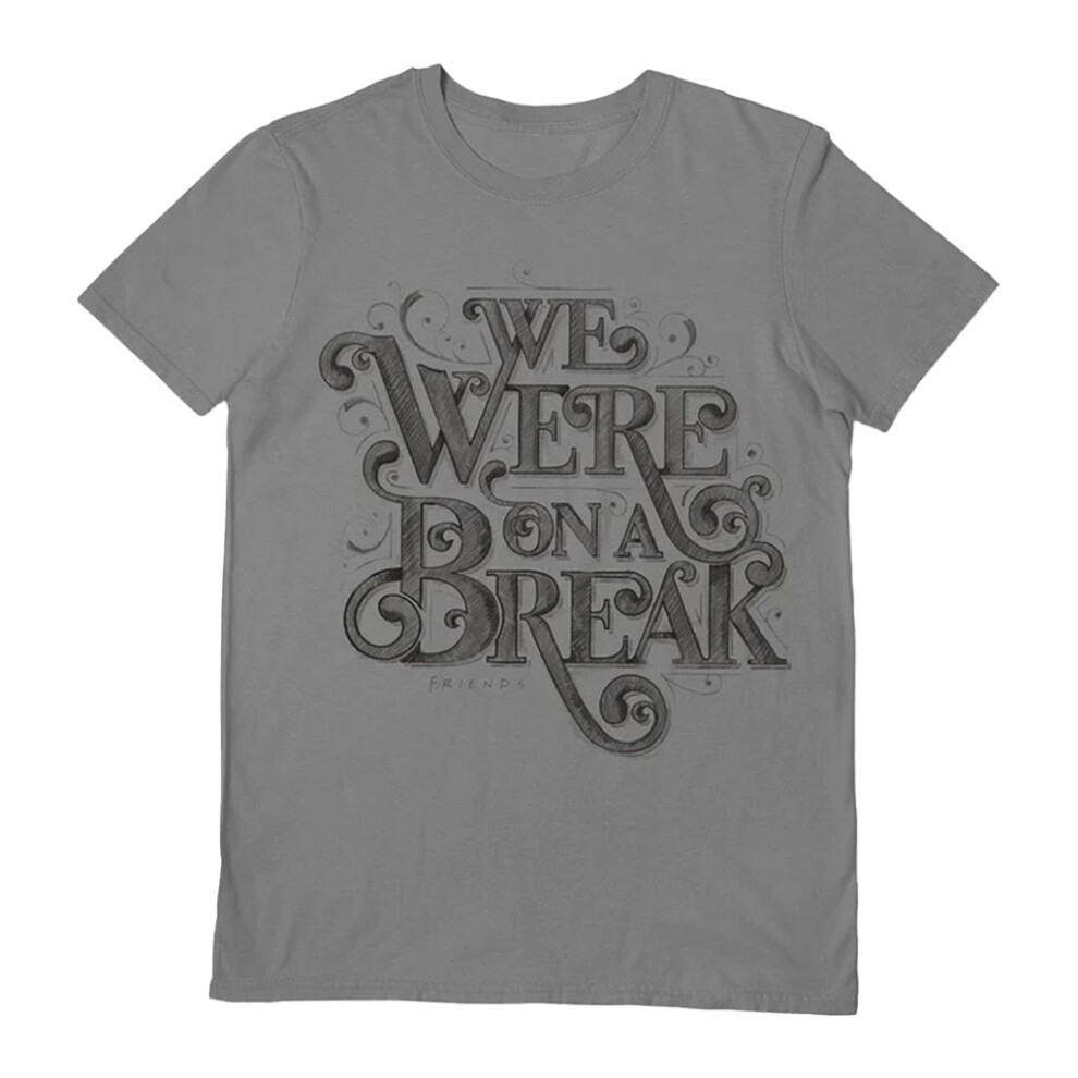 Friends (M, Grey) Unisex Adult We Were On A Break T-Shirt