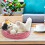 Miauende Katze Plüschtier Interaktives Kuscheltier 5
