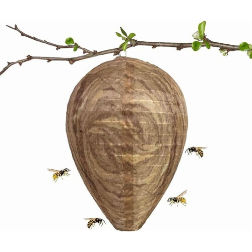 Wasp Trap Non-Toxic Paper Decoy 4 pcs 2