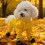 Botas de inverno impermeáveis para cães com calças de suspensórios ajustáveis 7