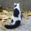 Gato de feltro de lã feito à mão, peça única e macia. 4