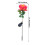 Solar Garden Lights LED Rose Design 6 Pack 4