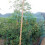 Gartennetz PE Vogelschutznetz 13x33ft 8
